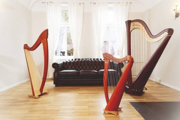 Musiklehrer I Love Harps - Harfengalerie