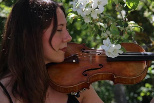 Violine/Geigelehrer Clara Riefellner