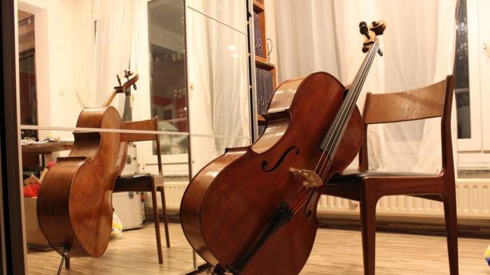 Cellolehrer Achim Wekenmann